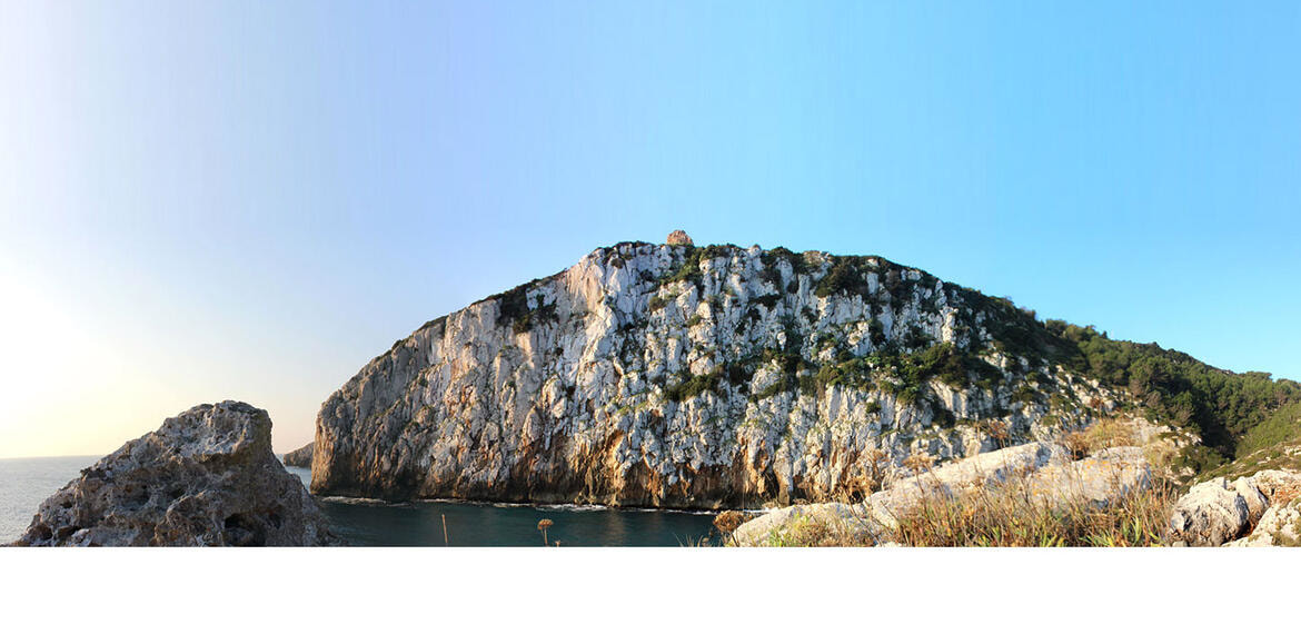 Immagine: Foto Macroaree 03 - Servizi