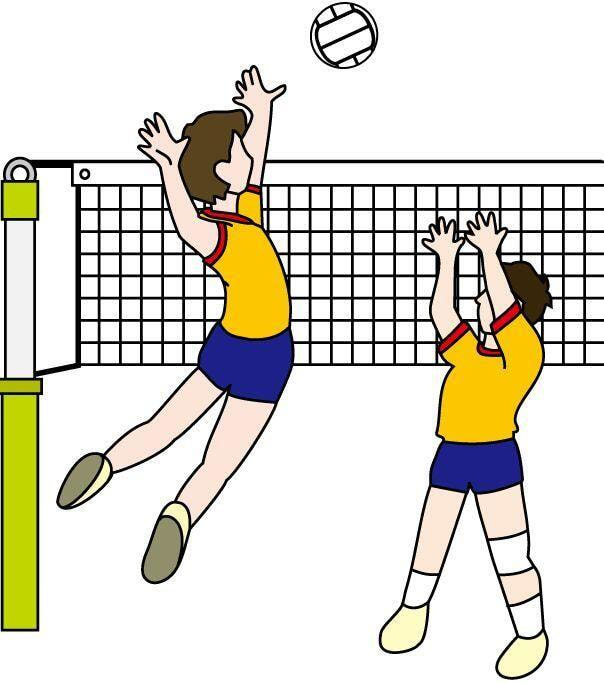 Immagine: Volley